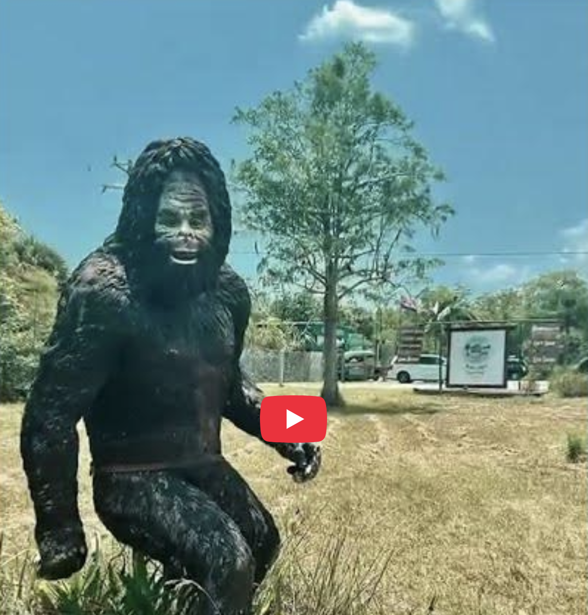 Skunk Ape